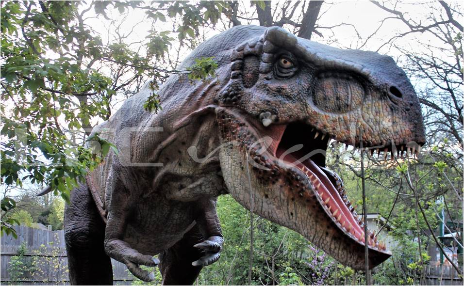 Dinos and Dragons LFC Exhibits